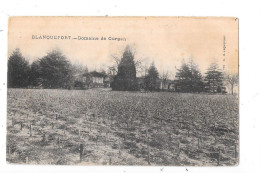 BLANQUEFORT - 33 -  Domaine De CURGAN  - BAR E - - Blanquefort