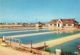 14 COURSEULLES SUR MER LE PARC A HUITRES - Courseulles-sur-Mer