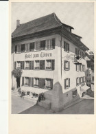 HOTEL LOWEN Olten - Olten
