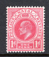 Natal - South Africa - 1902-03 KEVII - Postage & Revenue - Wmk. Crown CA - 1d Carmine HM (SG 128) - Natal (1857-1909)