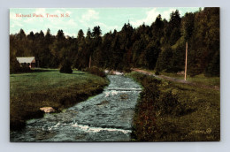 TRURO N.S. - Natural Park - Valentine 102,457 - Sonstige & Ohne Zuordnung
