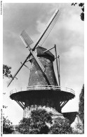 AOTP4-0276-PAYS-BAS - MOLEN - Sluis - Holland - Sluis
