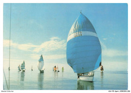 ASAP5-0344-SPORT - Voile - Les Beaux Voiliers De Jean André Rochelle - Vent Arriere Sous Spinnaker Par Legere Brise - Sailing