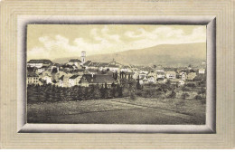 SUISSE #MK33363 SOUVENIR DELEMONT - Delémont