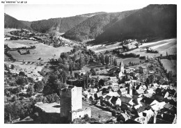BT-BFP1-0399-48 - CHANAC - En Avion Au-dessus - Vue Générale - La Tour Du Chateau - Chanac