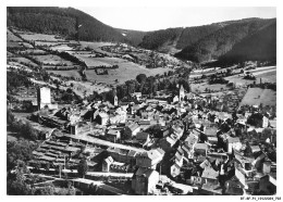 BT-BFP1-0397-48 - CHANAC - En Avion Au-dessus - Vue Générale - Chanac