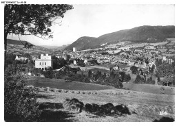 BE-BFP1-0045-48 - CHANAC - Vue Générale Prise De La Route Du Cros - Chanac