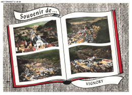 BE-BFP1-0523-52 - Souvenir De VIGNORY VUE AERIENNE LAPIE - Vignory