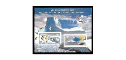 INDIA 2009 "PRESERVE THE POLAR REGIONS AND GLACIERS"  M/S MNH - Blocks & Sheetlets