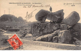 CHATEAUNEUF DE RANDON - La Souchère - Très Bon état - Chateauneuf De Randon
