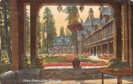 A674 US California Lake Tahoe Tahoe Tavern Flowers Vintage Postcard - D