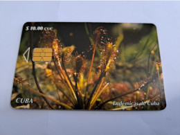 CUBA/ CHIPCARD / $10 ,00 US / PLANTS/ ENDIMICAS DE CUBA     Fine Used Card  ** 20138 ** - Cuba