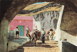 Delcampe - GRECE - ΣΑΝΤΟΡΙΝΗ - Δρομάκι λιμένος με γαϊδουράκια - Donkeys - Harbour Lane - Port - Animé - Carte Postale - Griechenland