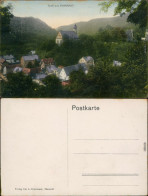 Ansichtskarte Tharandt Blick über Die Stadt Coloriert 1909 - Tharandt