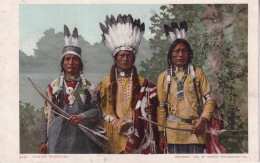 INDIEN(ETATS UNIS) TIR A L ARC - Native Americans