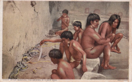 INDIEN(ETATS UNIS) - Native Americans
