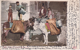 INDIEN(ETATS UNIS) ANE - Native Americans