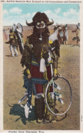 INDIEN(ETATS UNIS) - Native Americans