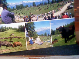 SUISSE VS - GRANDE FETE LE JOUR DE L'INALPE ET COMBAT DE REINES EN VALAIS VB1987  KG4899 - Verbier