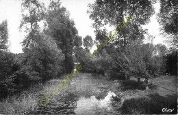 79.  COULONGES Sur L'AUTIZE .  La Vallée De L'Autize . - Coulonges-sur-l'Autize