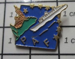 511c Pin's Pins / Beau Et Rare / BATEAUX / BATEAU BLANC PAQUEBOT PAF - Boten