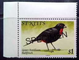 ST KITTS 1981, MNH  BIRD STAMP FACE VALUE  1$, OVERPRINTED SPECIMEN. - Moineaux