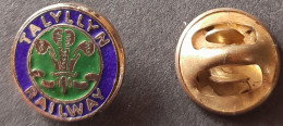 PIN'S - TALYLLYN RAILWAY COMPANY - Boten