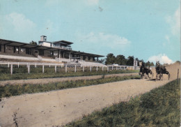 Delcampe - NORT SUR ERDRE(HIPPODROME) CHAMP DE COURSES - Nort Sur Erdre