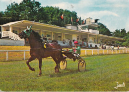 Delcampe - NORT SUR ERDRE(HIPPODROME) CHAMP DE COURSES - Nort Sur Erdre