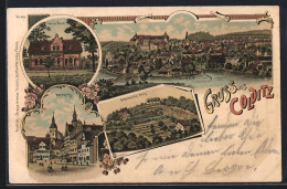 Lithographie Colditz, Luisa Heim, Schlobach`s Berg, Marktplatz, Totale - Colditz