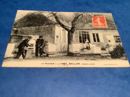 37/ Un Rucher à La Haye Ballan - Ballan-Miré