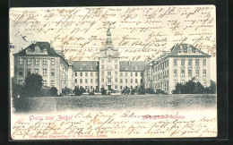 AK Zerbst, Frontalblick Auf Das Herzogliche Schloss - Zerbst