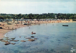 29 PLOUGONVELIN LE TREZ HIR ANSE BERTHEAUME - Plougonvelin