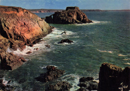 29 PLOUGONVELIN LE TREZ HIR - Plougonvelin