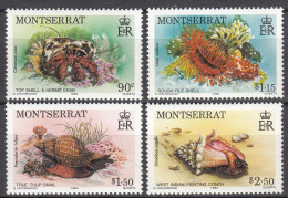 Montserrat 1984 Shells Mi#557-560 Mint Never Hinged - Montserrat
