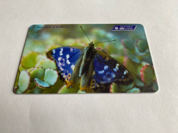 3:506 - Andorra Chip Butterfly - Andorra