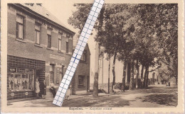 CAPPELLEN-KAPELLEN"KAPELSE STRAAT-VAEREWYCK DEWIT-MERCERIEN EN LIKEUREN"UITG.POSTKAARTFABRIEK - Kapellen