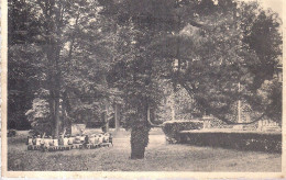 CAPPELLEN-KAPELLEN"TIJDELIJKE SCHOOLKOLONIE IRISHOF -LES IN OPEN LUCHT"E.THILL,BRUSSEL - Kapellen