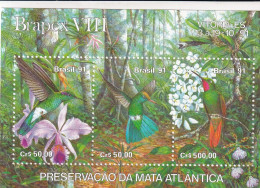 Brasil Hb 85 - Blocs-feuillets