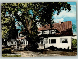 40116734 - Boerninghausen - Getmold