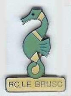 @@ Hippocampe Rugby Club RC Le BRUSC Var PACA (1.8x2.5) @@sp210 - Rugby
