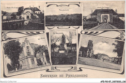 AFEP10-57-0894 - Souvenir De PHALSBOURG - Phalsbourg