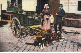MIKIEP14-031- BELGIQUE BRUXELLES VOITURE A CHIEN LAITIERE FLAMANDE - Old Professions