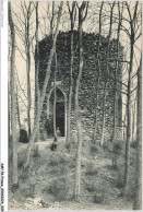 AMYP6-0447-59 - AULNOYE - Dans Les Bois - Aulnoye