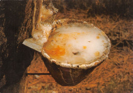 40 SABRES écomusée Marqueze Résiniers Hapchot Oléorésine Gemmage Sarcle Résine Barrasquit (Scan R/V) N° 1 \MR8026 - Sabres