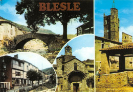 43-BLESLE-N°TB3534-A/0393 - Blesle