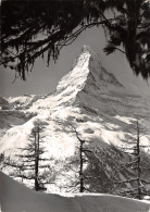 ET-SUISSE ZERMATT OBLITERATION-N°TB3535-B/0265 - Matt