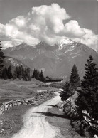 ET-SUISSE LENZERHEIDE OBLITERATION-N°TB3535-B/0087 - Lantsch/Lenz