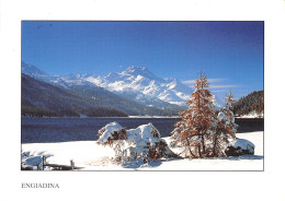 ET-SUISSE ENGIADNA OBLITERATION-N°TB3535-A/0363 - Engi