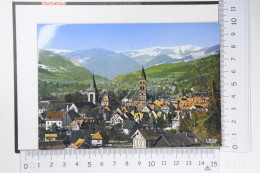 Delcampe - MUNSTER Haut Rhin : La Ville Et La Chaine Des Vosges - Munster